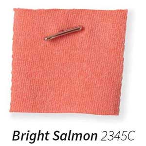 Bright Salmon